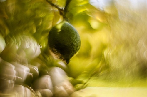 Helios 44m lens - lens, petzval