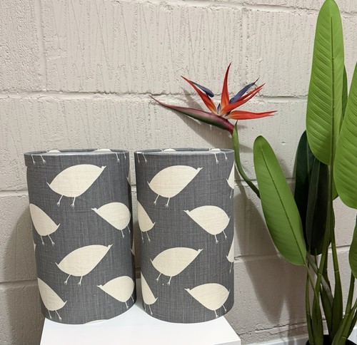 Lampshades in vanessa - 2, x