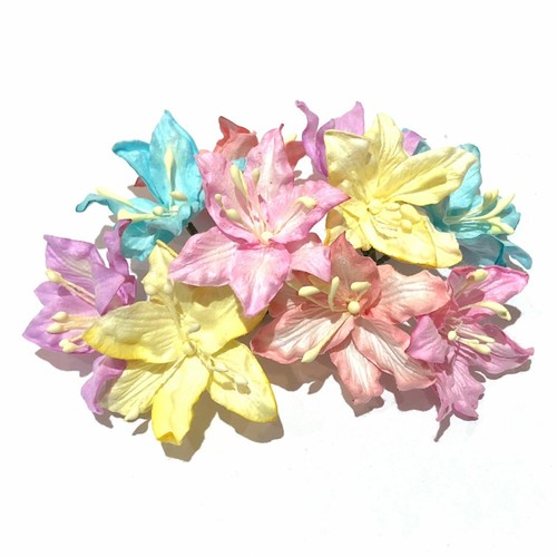 Pastel mix mulberry paper - pastel,
