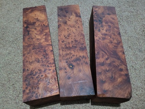 Thuya burr 12 1x - -, 12"