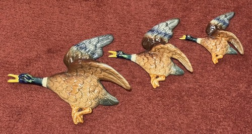 Falcon ware mallard duck wall - falcon,