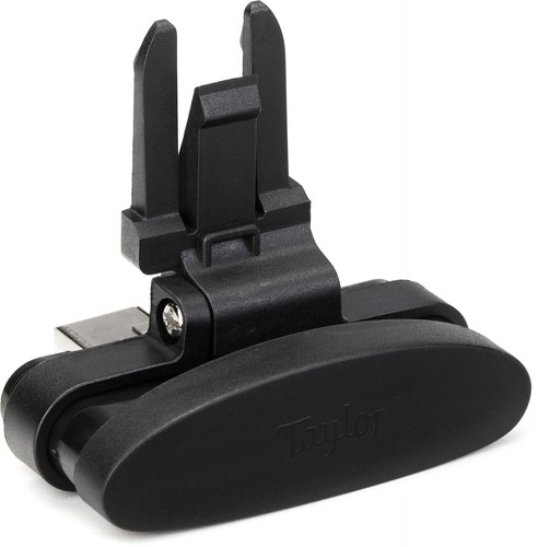 Taylor mini acoustic - es-go,