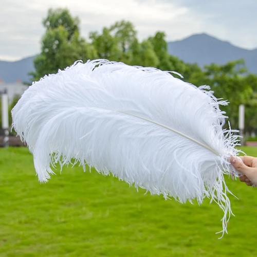 30cm large ostrich feathers - 25-30cm,