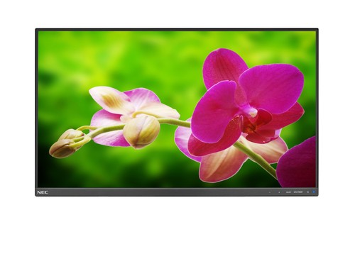 Monitor nec multisync e242n - monitor,