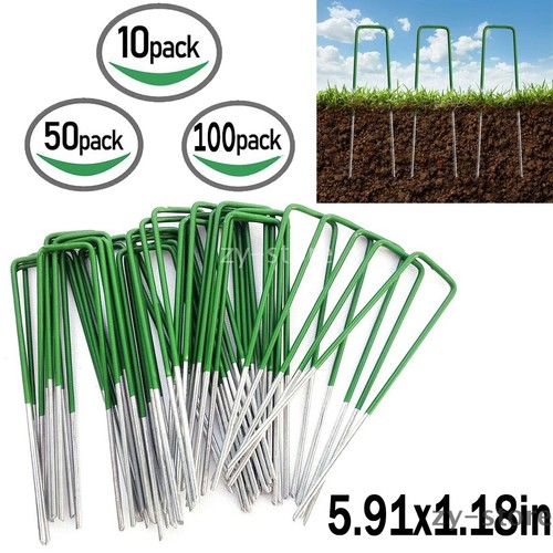 Turf pins weed - turf,