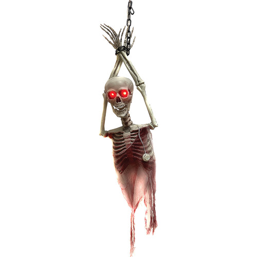 Skeleton torso light - torso,