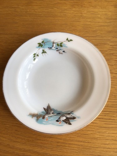 Jaj pyrex flying duck - flying,