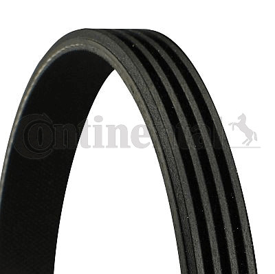 Continental ctam 4pk890 - ctam,