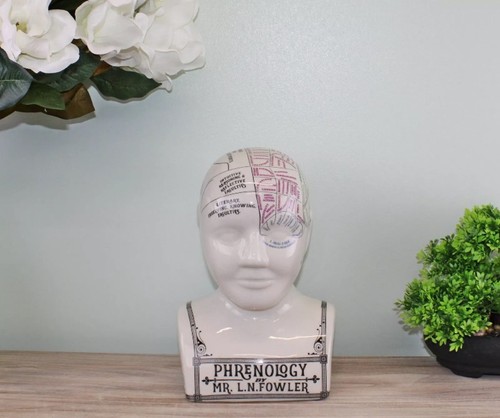 Large crackle phrenology bust - crackle,