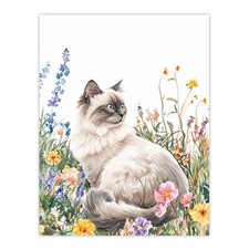 Ragdoll Cat Lover Pet