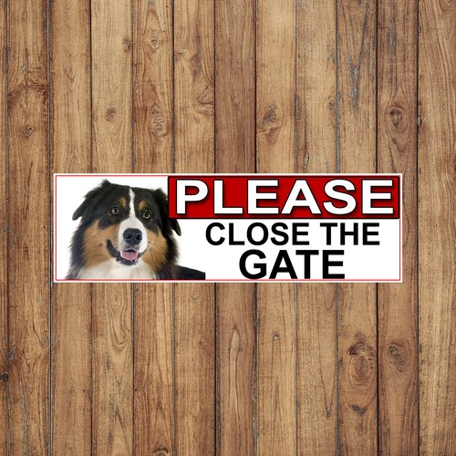 Australian sheep dog please - australian,