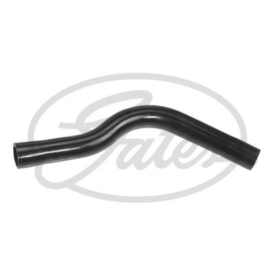 Radiator hose for - radiator,
