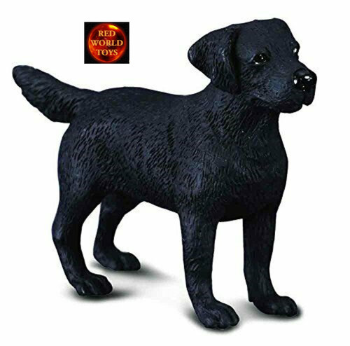 Black labrador retriever dog - retriever,