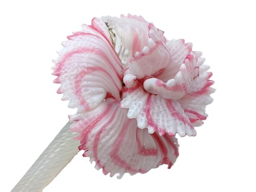 Murano chandelier part - , flower