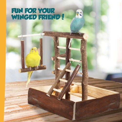 Wooden bird play - play, perch