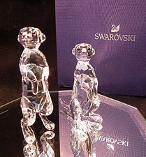 Swarovski Crystal Clear Pair