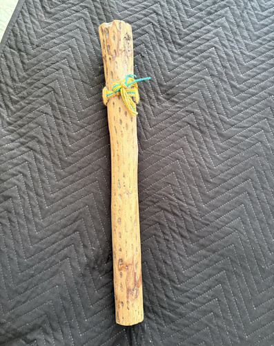 Chilean cactus rainstick