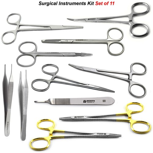 Medical student anatomy - medical,