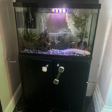 Complete Tropical Fish Tank and Stand - Pump, Lights, Heater, Plants, Fish!