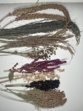 Hamster Seed Spray Bouquet Taster Bundle 