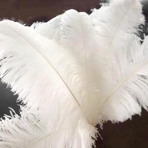 10pc pack large ostrich - large,