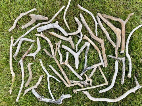 Curved driftwood pieces - 30,