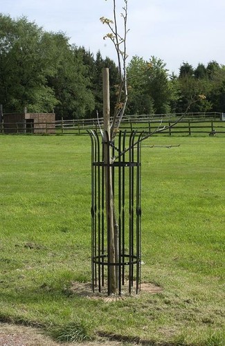 Tall black wrought - black, iron