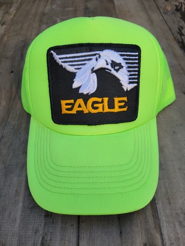 Eagle fishing - eagle, finder
