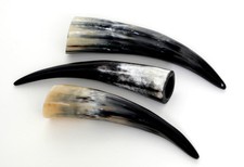 1 B-Goods Cow Horn 15-50 cm