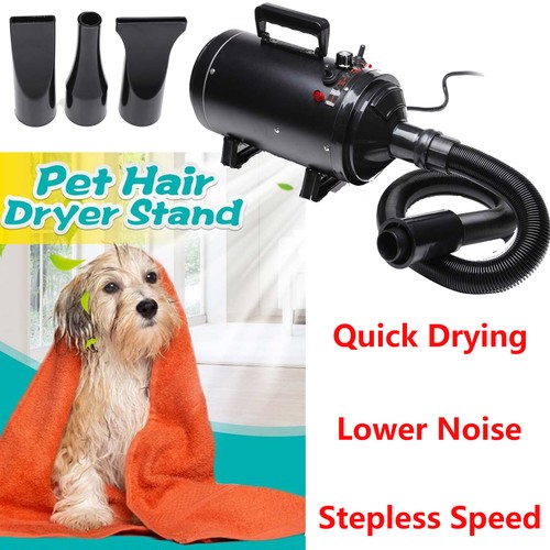 Dog pet hair dryer variable - dog,