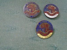 OLD SET ASA AMATEUR SWIMMING PERSONAL SURVIVAL ENAMEL GOLD SILVER BRONZE BADGES