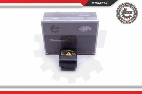 59skv069 esen skv ignitor - 59skv069, gas