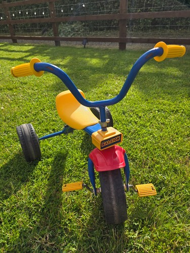 Raleigh trike primary - in,