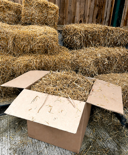 Natural wheat straw perfect - natural,