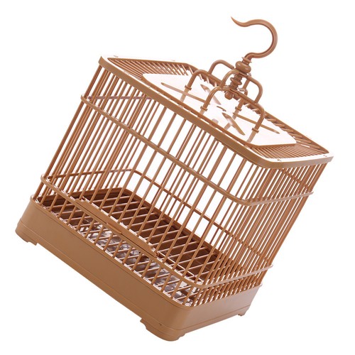 Set bird display cage - bird, parrot