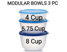 Tupperware Modular Bowls