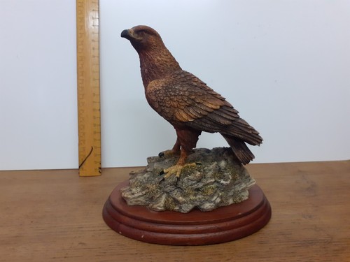 Border fine arts golden eagle - fine,