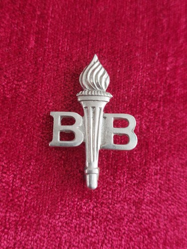 Boys brigade pin - boys,