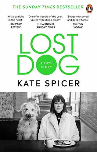 Lost dog love story - lost, dog: