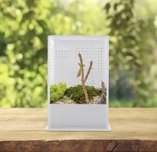 Reptile Feeding Box, Acrylic