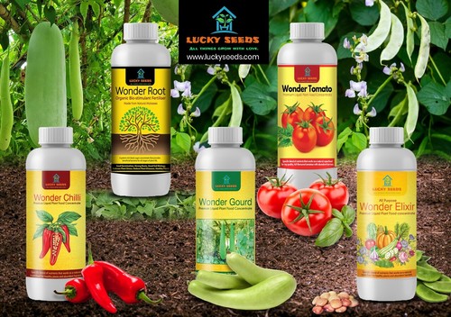 Lucky seed plant - seed,plant, chilli