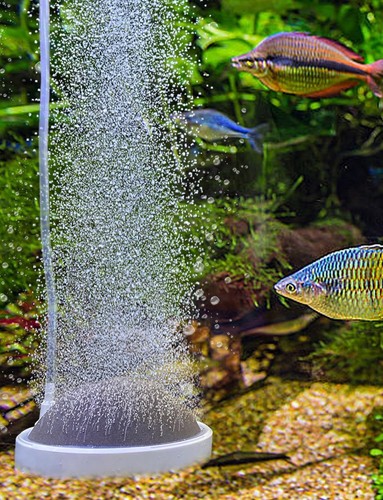 Aquarium air stone oxygen - air, stone,