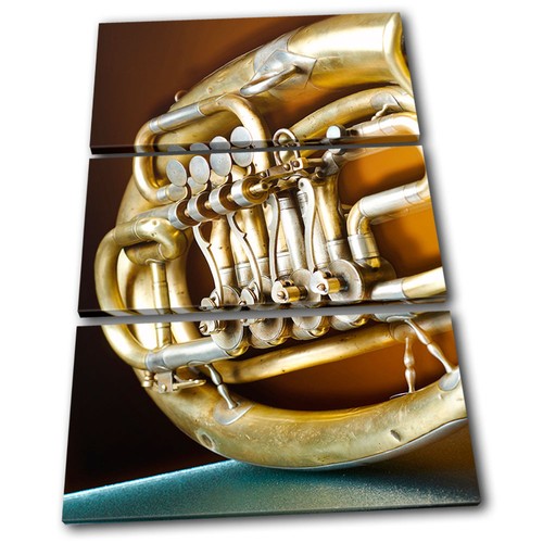 Vintage french horn musical - french,