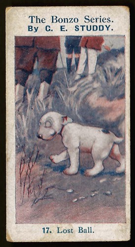 Singleton cole bonzo - singleton,