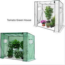 Tomato Greenhouse – Walk-In