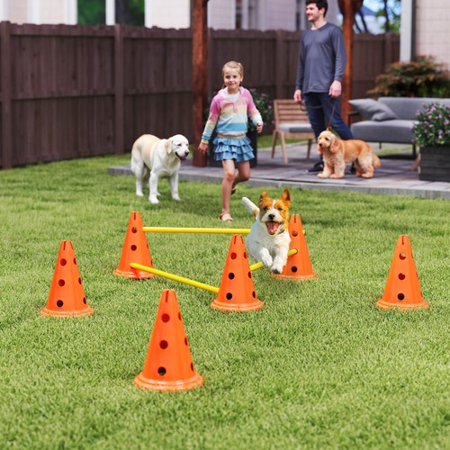 Orange 3pcs dog - 3pcs, agility