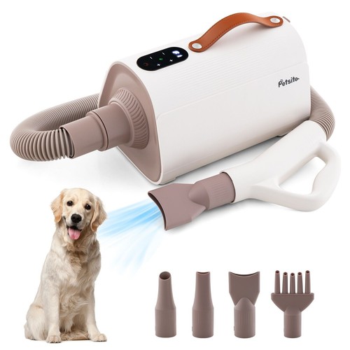 Dog dryer cat - cat, high