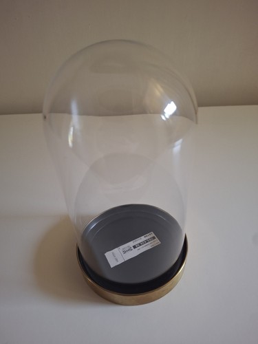 Glass display dome cloche - display,
