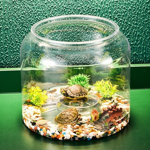 Turtle tank diy - diy, micro