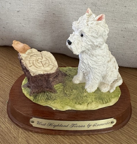 Westie dog west highland - westie,